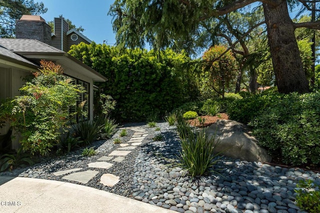 2320 Mountain Ave, La Crescenta, CA 91214 - view of yard