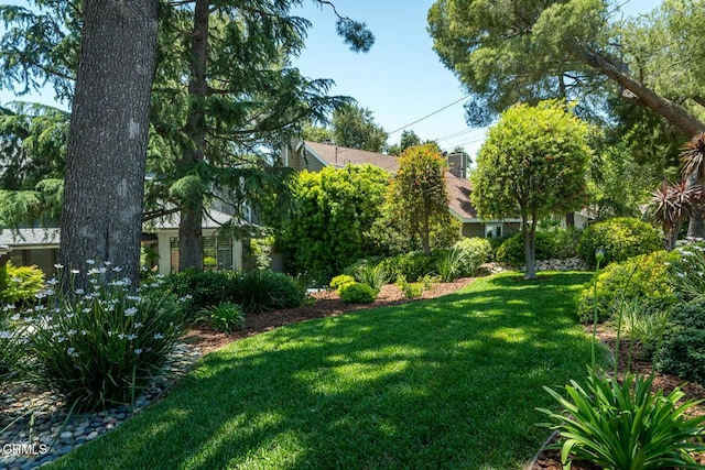 2320 Mountain Ave, La Crescenta, CA 91214 - view of green lawn