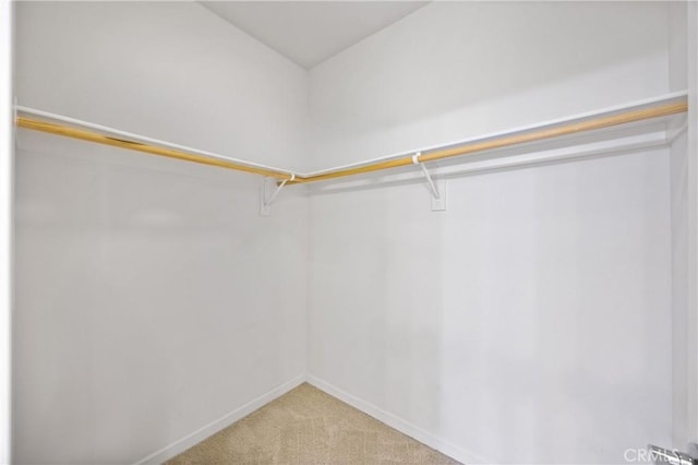 405 Mallorca Ln, Brea, CA 92823 - walk in closet featuring carpet flooring