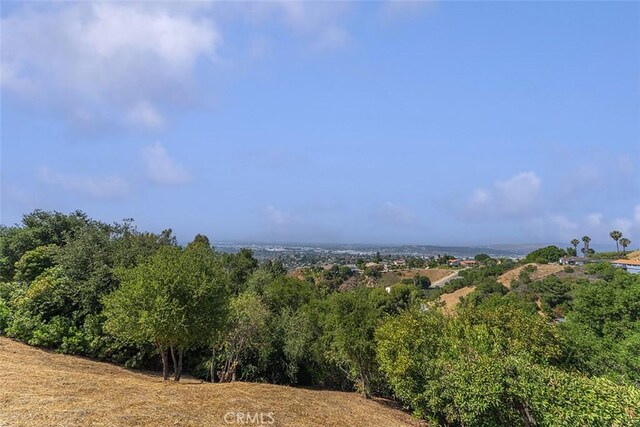 16227 Glencove Dr, Hacienda Heights, CA 91745 - view of nature