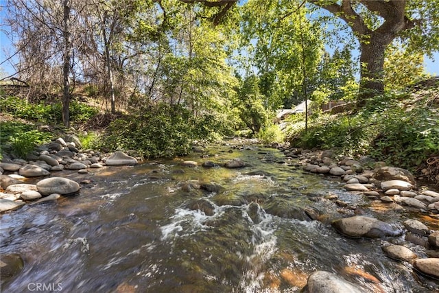 5 Sycamore Valley Rd, Chico, CA 95973 - view of nature