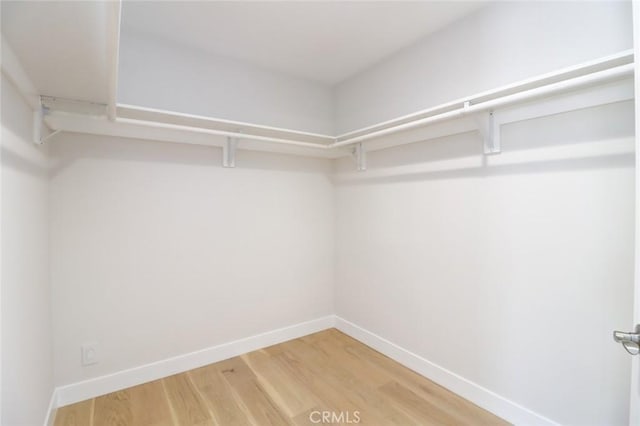 12312 Eveningside Dr, Santa Ana, CA 92705 - walk in closet with light wood-style floors