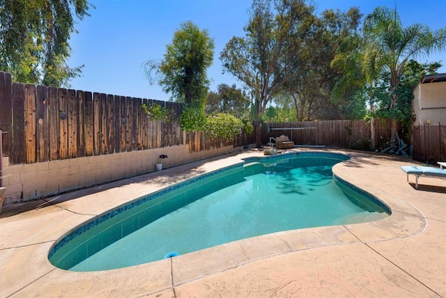 3117 Cherimoya St, Jamul, CA 91935 - view of pool featuring a fenced backyard and a patio