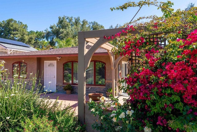 3117 Cherimoya St, Jamul, CA 91935 - view of patio