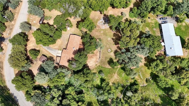 51864 Mountain Quail Pl, Oakhurst, CA 93644 - aerial overview of property's location