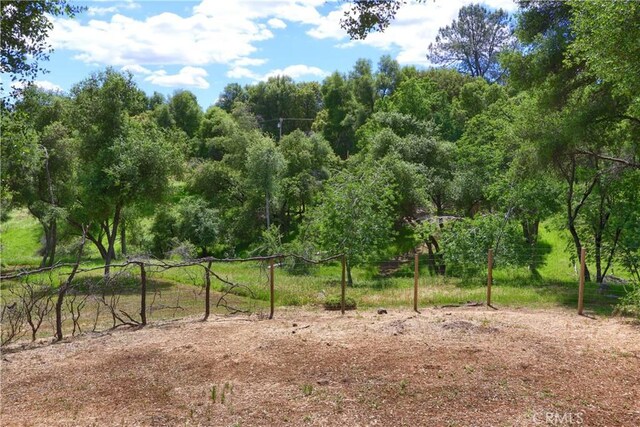 51864 Mountain Quail Pl, Oakhurst, CA 93644 - view of nature
