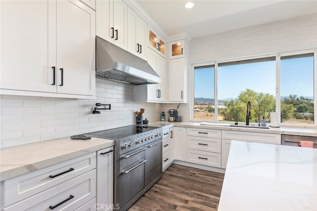 38855 Bella Vista Rd, Temecula, CA 92592 - kitchen with under cabinet range hood, stainless steel range, a sink, white cabinets, and glass insert cabinets