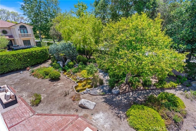 20 Meadow Wood Dr, Coto De Caza, CA 92679 - photo 68