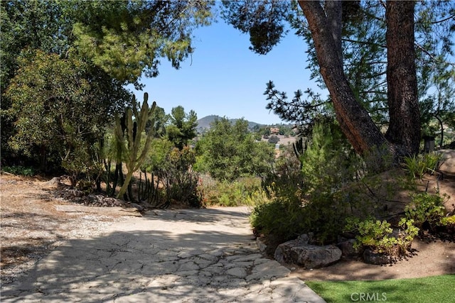 1961 Forester Creek Rd, El Cajon, CA 92021 - view of road featuring a mountain view