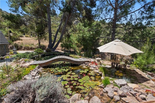 1961 Forester Creek Rd, El Cajon, CA 92021 - view of yard