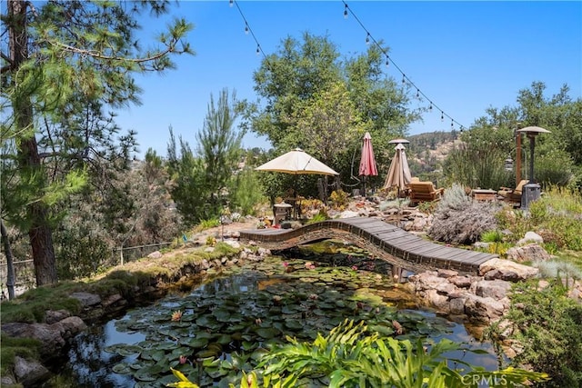 1961 Forester Creek Rd, El Cajon, CA 92021 - view of yard