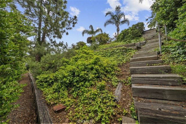 10835 Savona Rd, Los Angeles, CA 90077 - view of yard
