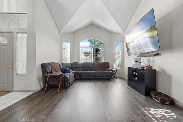 4856 W Glen Abbey Way, Banning, CA 92220 - living room with wood finished floors, lofted ceiling, baseboards, and a textured ceiling
