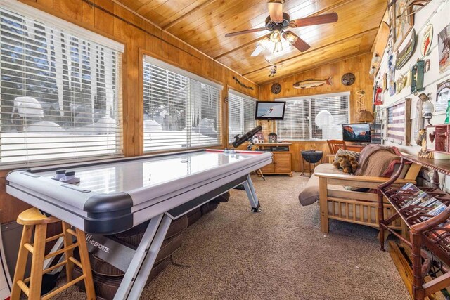 379 Wren Dr, Big Bear Lake, CA 92315 - photo 20