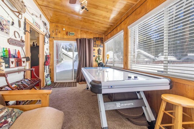 379 Wren Dr, Big Bear Lake, CA 92315 - photo 19