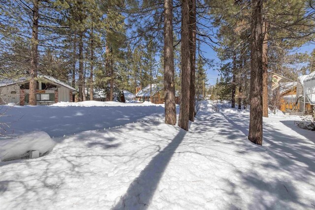 379 Wren Dr, Big Bear Lake, CA 92315 - photo 42