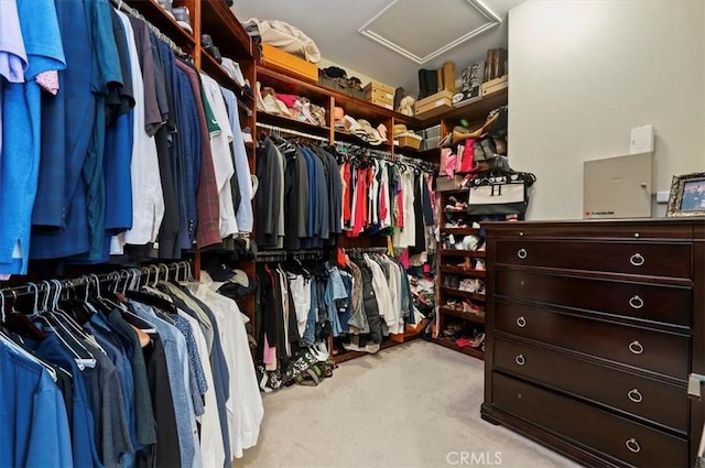 walk in closet featuring attic access and carpet