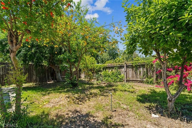 view of fenced backyard