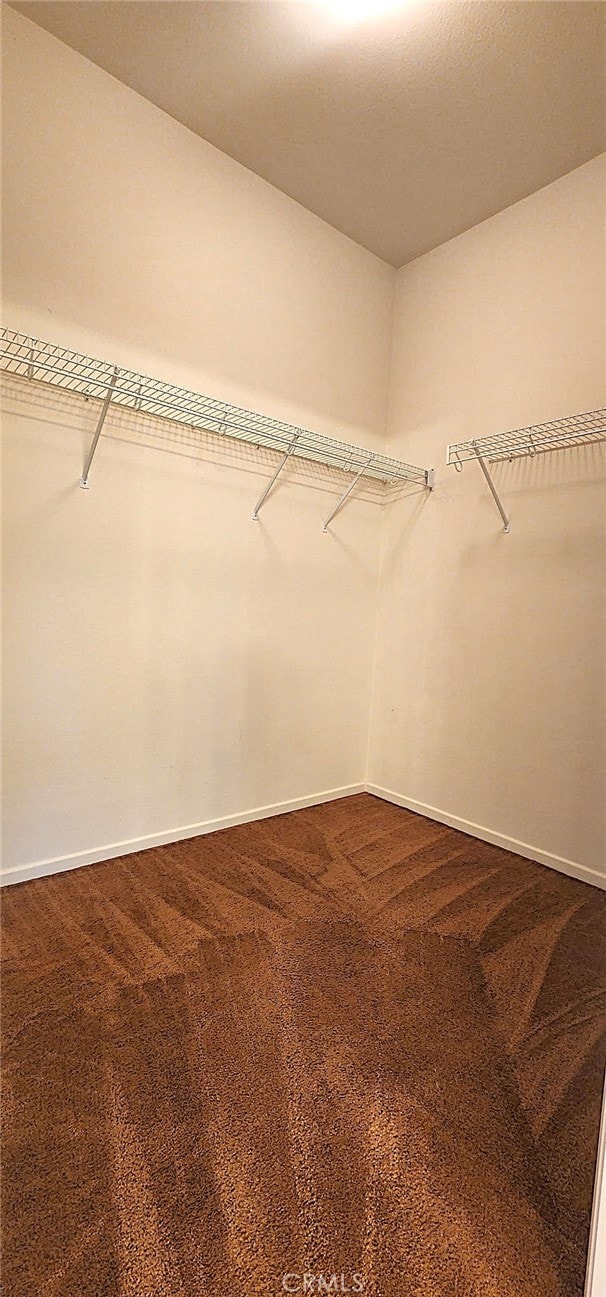 8281 Triplett Ln, Hemet, CA 92545 - spacious closet with dark colored carpet