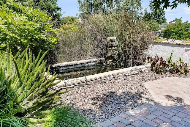 view of yard with a dock