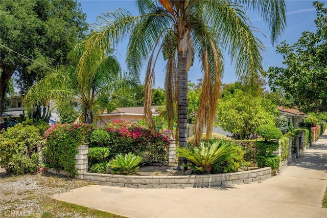 575 Winona Way, Pasadena, CA 91103 - view of home's community
