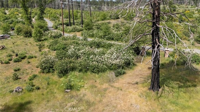 3874 Coniston Loop, Oroville, CA 95965 - photo 18
