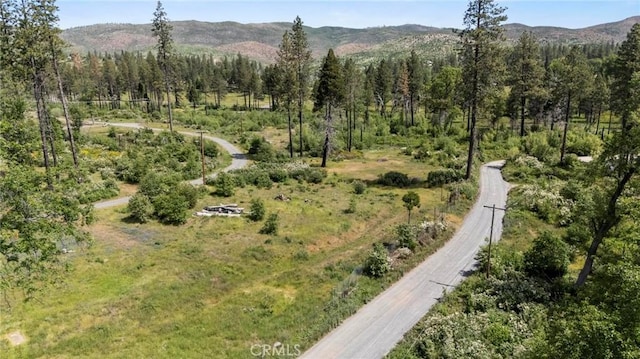 3874 Coniston Loop, Oroville, CA 95965 - photo 11