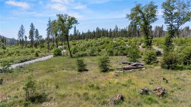 3874 Coniston Loop, Oroville, CA 95965 - photo 16