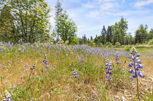 3874 Coniston Loop, Oroville, CA 95965 - photo 27