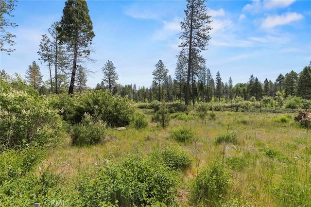 3874 Coniston Loop, Oroville, CA 95965 - photo 24