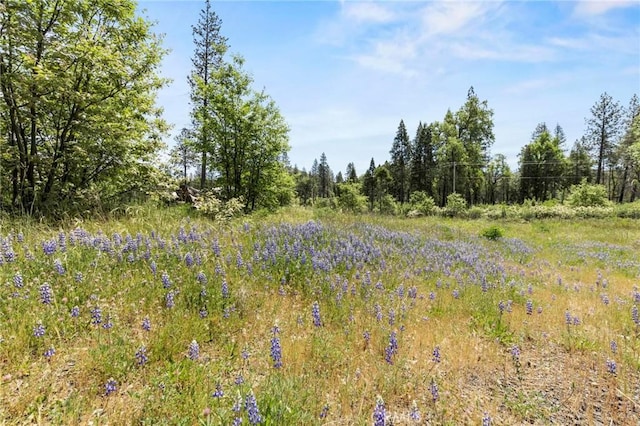 3874 Coniston Loop, Oroville, CA 95965 - photo 26