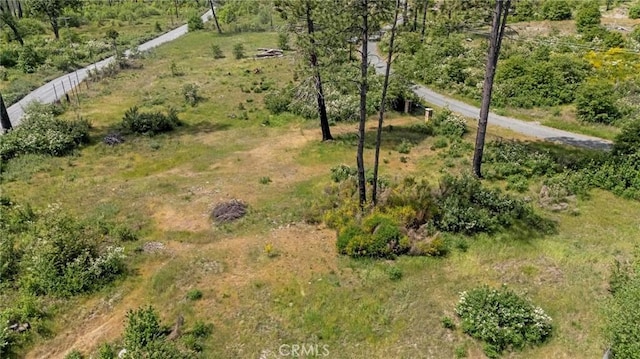 3874 Coniston Loop, Oroville, CA 95965 - photo 20