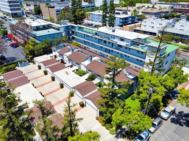 bird's eye view