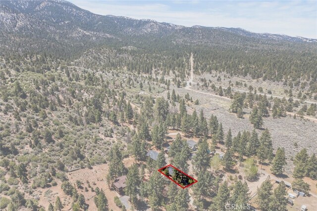 2157 Mariposa Ln, Big Bear City, CA 92314 - photo 47
