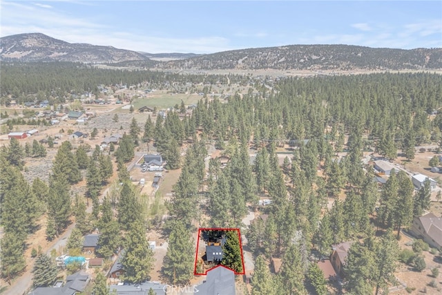2157 Mariposa Ln, Big Bear City, CA 92314 - photo 45