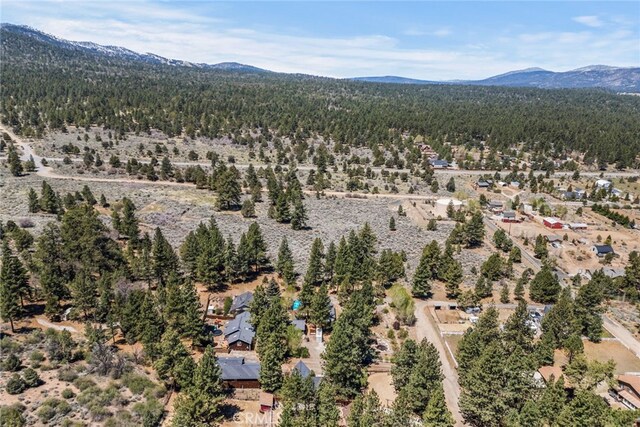2157 Mariposa Ln, Big Bear City, CA 92314 - photo 46