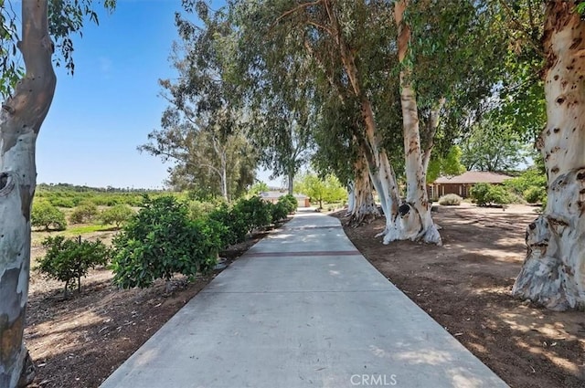 8180 Victoria Ave, Riverside, CA 92504 - photo 5