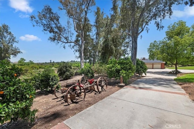 8180 Victoria Ave, Riverside, CA 92504 - photo 6