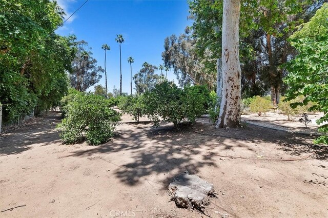 8180 Victoria Ave, Riverside, CA 92504 - photo 55