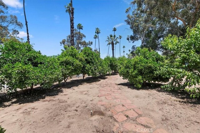 8180 Victoria Ave, Riverside, CA 92504 - photo 57