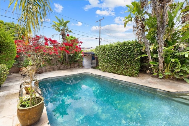 317 Walnut St, Costa Mesa, CA 92627 - view of swimming pool