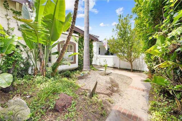 317 Walnut St, Costa Mesa, CA 92627 - view of yard