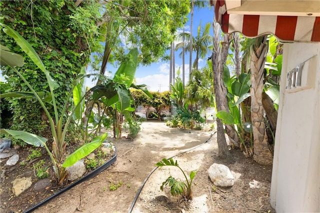 317 Walnut St, Costa Mesa, CA 92627 - view of yard featuring a patio