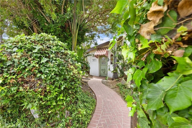 317 Walnut St, Costa Mesa, CA 92627 - view of yard