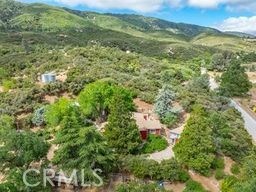26770 Pine Canyon Rd, Lake Hughes, CA 93532 - photo 73