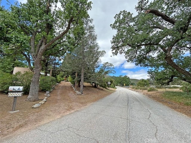 26770 Pine Canyon Rd, Lake Hughes, CA 93532 - photo 65