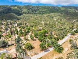 26770 Pine Canyon Rd, Lake Hughes, CA 93532 - photo 70