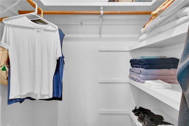 2303 Ridge Rider Rd, Bradley, CA 93426 - view of spacious closet