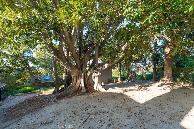435 S Estate Dr, Orange, CA 92869 - view of yard