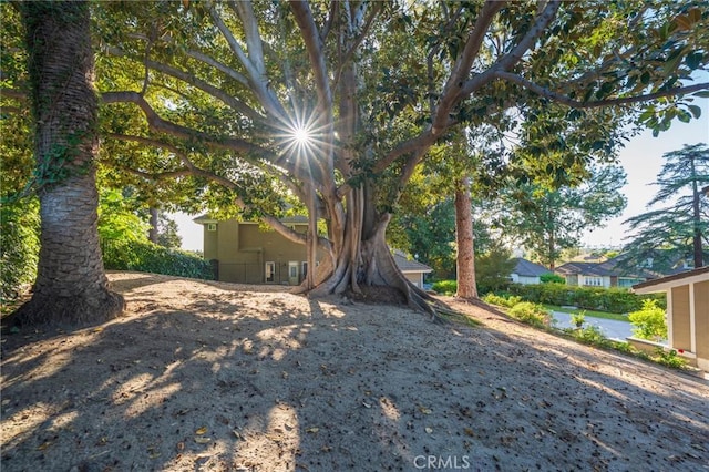 435 S Estate Dr, Orange, CA 92869 - view of yard